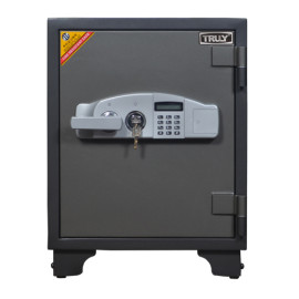 KÉT SẮT TRULY-65E